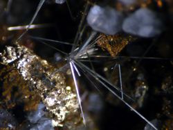 Micro-mineral specimen of  millerite (crystals 1-2mm).