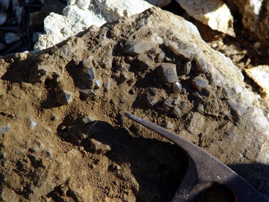 Smoky quartz crystals lining a vugh in granite rocks near Torrington, NSW. 